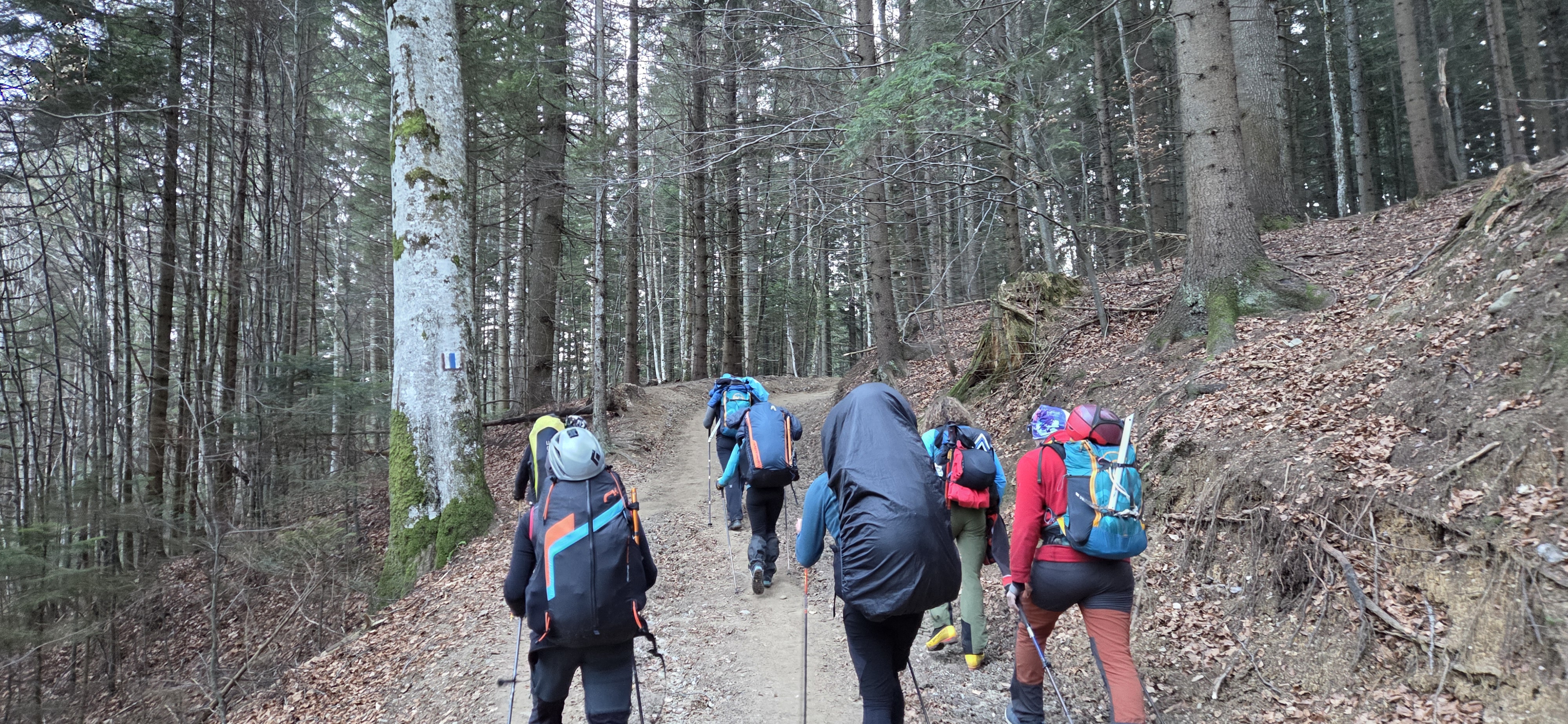 Incepem urcarea spre Vf Omu